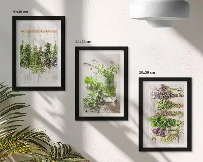 Ensemble de 3 tableaux représentant le séchage des herbes et des plantes pour la cuisine