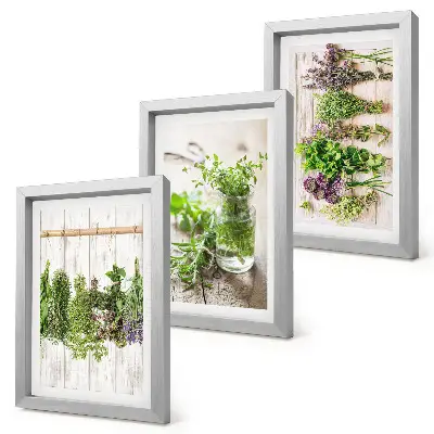 Ensemble de 3 tableaux représentant le séchage des herbes et des plantes pour la cuisine