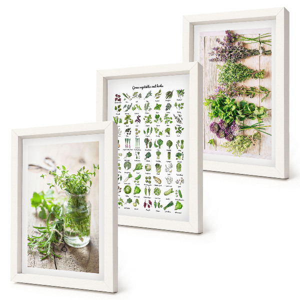 Mur de cadres Liste de plantes séchées pour la cuisine