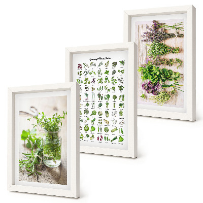 Mur de cadres Liste de plantes séchées pour la cuisine