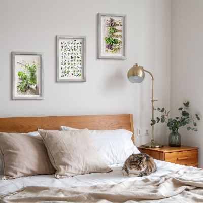 Mur de cadres Liste de plantes séchées pour la cuisine