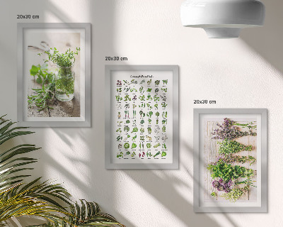 Mur de cadres Liste de plantes séchées pour la cuisine