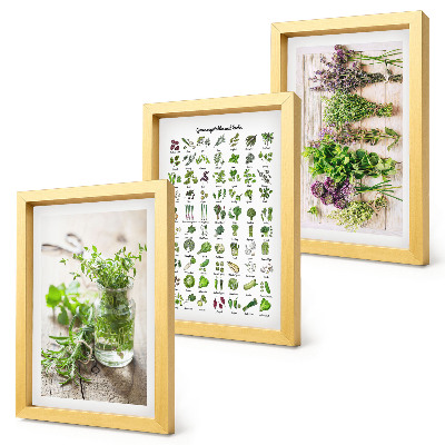 Mur de cadres Liste de plantes séchées pour la cuisine