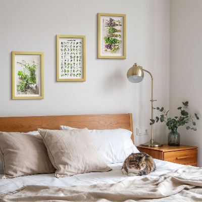 Mur de cadres Liste de plantes séchées pour la cuisine