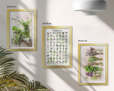 Mur de cadres Liste de plantes séchées pour la cuisine