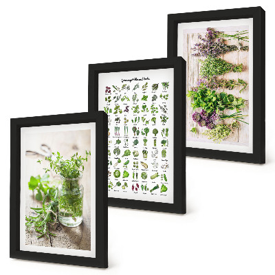 Mur de cadres Liste de plantes séchées pour la cuisine
