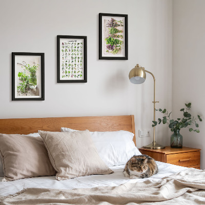 Mur de cadres Liste de plantes séchées pour la cuisine