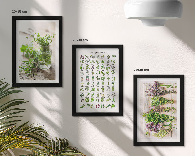Mur de cadres Liste de plantes séchées pour la cuisine