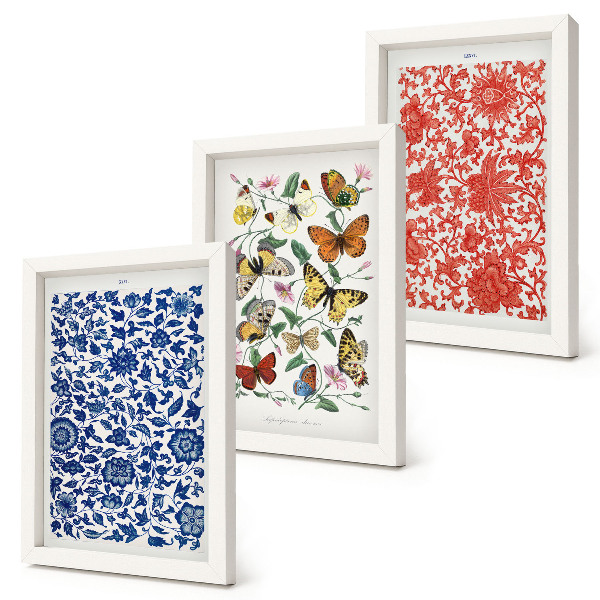 Ensemble de 3 tableaux Affiches vintage de fleurs, papillons et ornements