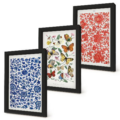 Ensemble de 3 tableaux Affiches vintage de fleurs, papillons et ornements