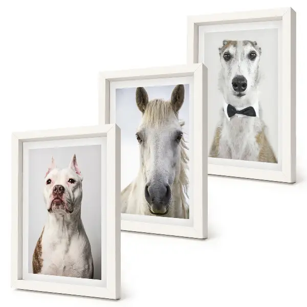 Lot de 3 tableaux portraits élégants de chiens et de chevaux
