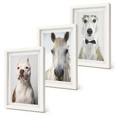 Lot de 3 tableaux portraits élégants de chiens et de chevaux