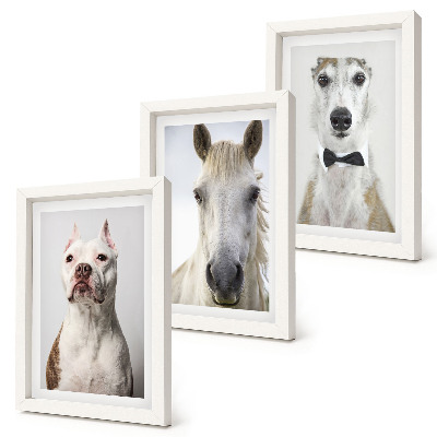 Lot de 3 tableaux Portraits intéressants de chiens et de chevaux dans un style élégant