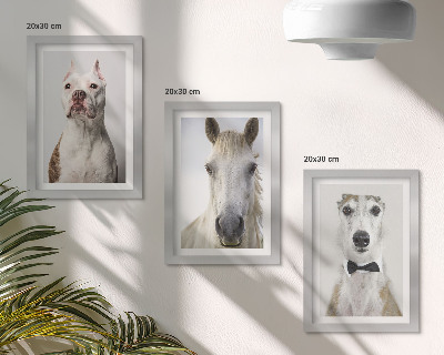 Lot de 3 tableaux Portraits intéressants de chiens et de chevaux dans un style élégant