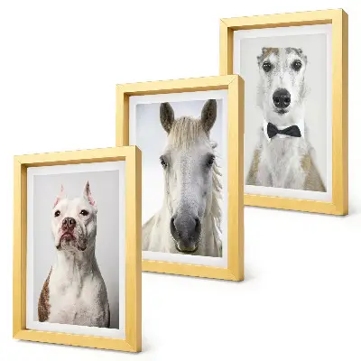 Lot de 3 tableaux portraits élégants de chiens et de chevaux