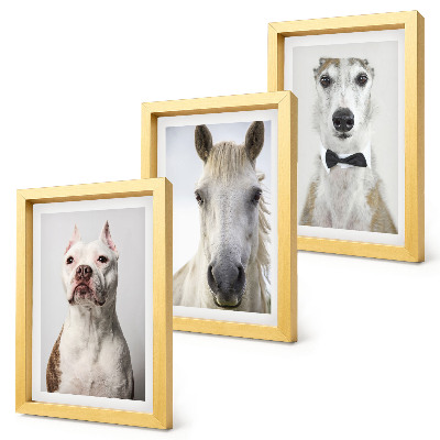Lot de 3 tableaux Portraits intéressants de chiens et de chevaux dans un style élégant