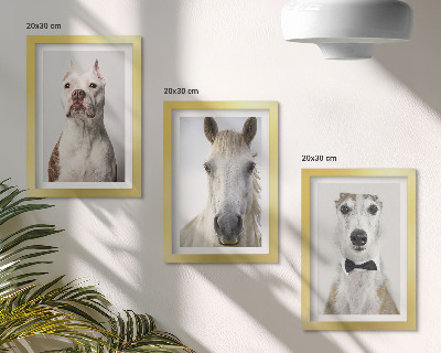 Lot de 3 tableaux Portraits intéressants de chiens et de chevaux dans un style élégant