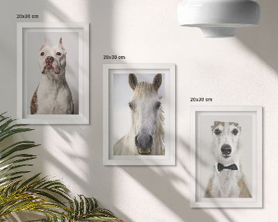 Lot de 3 tableaux Portraits intéressants de chiens et de chevaux dans un style élégant