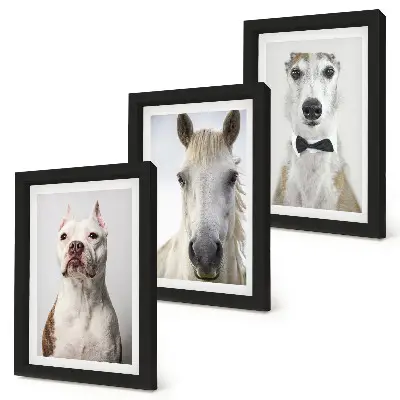 Lot de 3 tableaux portraits élégants de chiens et de chevaux
