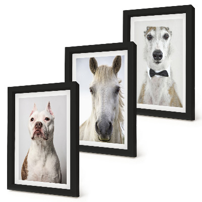 Lot de 3 tableaux Portraits intéressants de chiens et de chevaux dans un style élégant