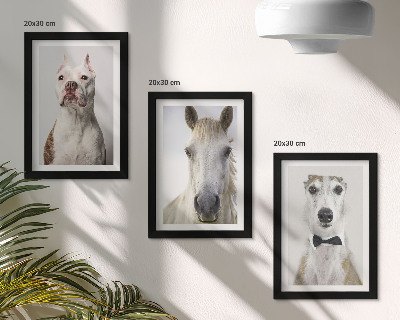 Lot de 3 tableaux Portraits intéressants de chiens et de chevaux dans un style élégant