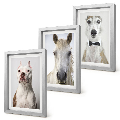 Lot de 3 tableaux Portraits intéressants de chiens et de chevaux dans un style élégant