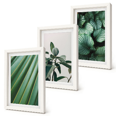 Lot de 3 tableaux Feuilles tropicales esthétiques dans différentes nuances de vert