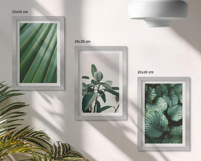 Lot de 3 tableaux Feuilles tropicales esthétiques dans différentes nuances de vert