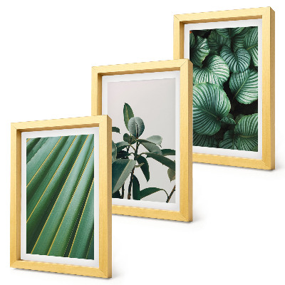 Lot de 3 tableaux Feuilles tropicales esthétiques dans différentes nuances de vert