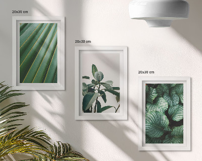 Lot de 3 tableaux Feuilles tropicales esthétiques dans différentes nuances de vert