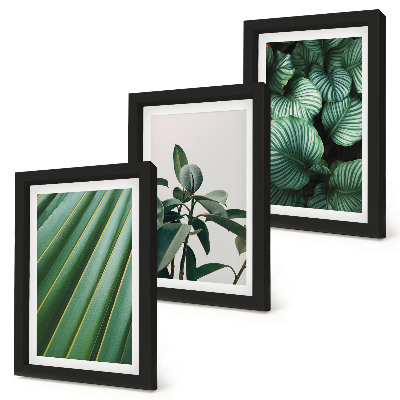 Lot de 3 tableaux Feuilles tropicales esthétiques dans différentes nuances de vert