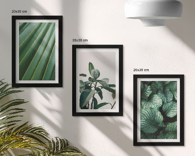 Lot de 3 tableaux Feuilles tropicales esthétiques dans différentes nuances de vert