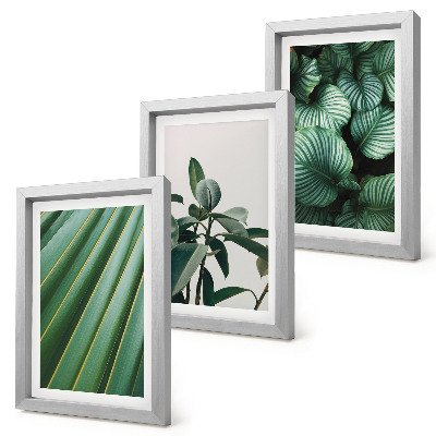 Lot de 3 tableaux Feuilles tropicales esthétiques dans différentes nuances de vert