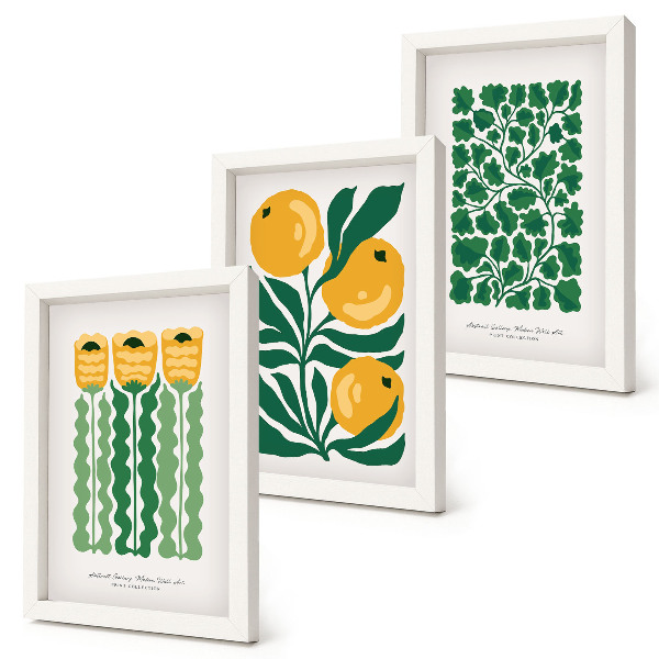 Ensemble de 3 tableaux Affiches à motifs végétaux avec fleurs et feuilles