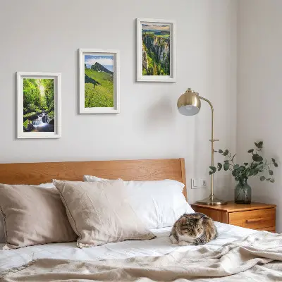 Lot de 3 tableaux représentant des paysages de montagne verdoyants avec une cascade et une forêt