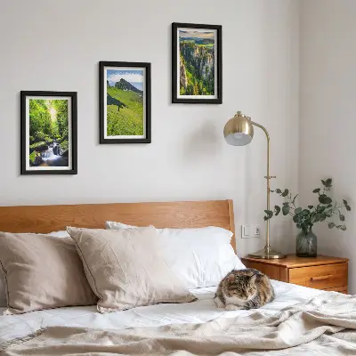 Lot de 3 tableaux représentant des paysages de montagne verdoyants avec une cascade et une forêt