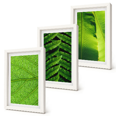 Ensemble de 3 tableaux Gros plans de feuilles tropicales