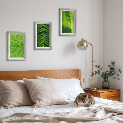 Ensemble de 3 tableaux Gros plans de feuilles tropicales