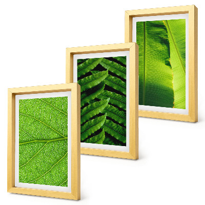 Ensemble de 3 tableaux Gros plans de feuilles tropicales