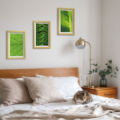 Ensemble de 3 tableaux Gros plans de feuilles tropicales