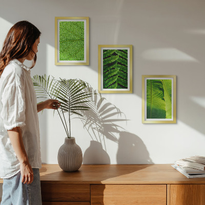 Ensemble de 3 tableaux Gros plans de feuilles tropicales