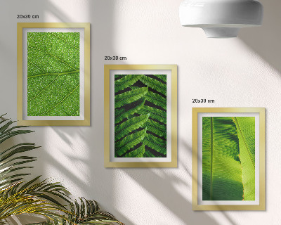 Ensemble de 3 tableaux Gros plans de feuilles tropicales