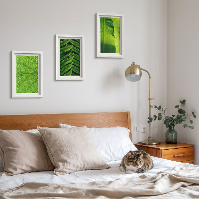 Ensemble de 3 tableaux Gros plans de feuilles tropicales