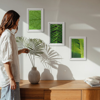 Ensemble de 3 tableaux Gros plans de feuilles tropicales