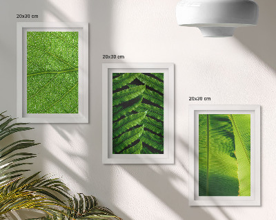 Ensemble de 3 tableaux Gros plans de feuilles tropicales