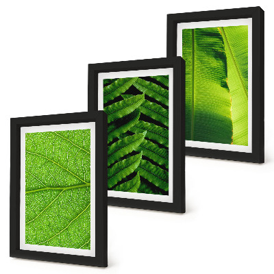 Ensemble de 3 tableaux Gros plans de feuilles tropicales