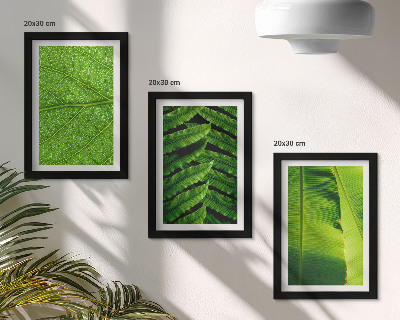 Ensemble de 3 tableaux Gros plans de feuilles tropicales