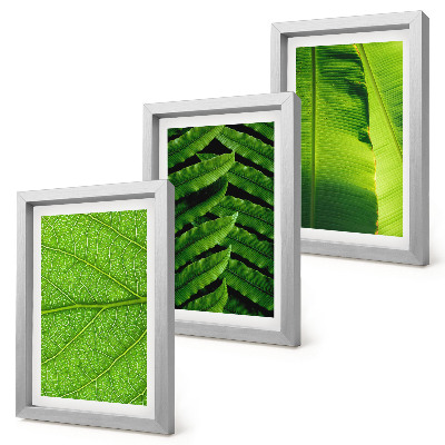 Ensemble de 3 tableaux Gros plans de feuilles tropicales