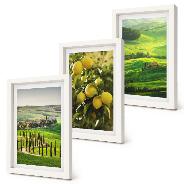 Ensemble de 3 tableaux Paysages italiens avec des agrumes et des collines verdoyantes