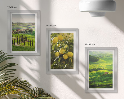 Ensemble de 3 tableaux Paysages italiens avec des agrumes et des collines verdoyantes
